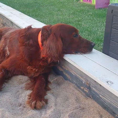 Ferienhaus Reset Letniskowe *