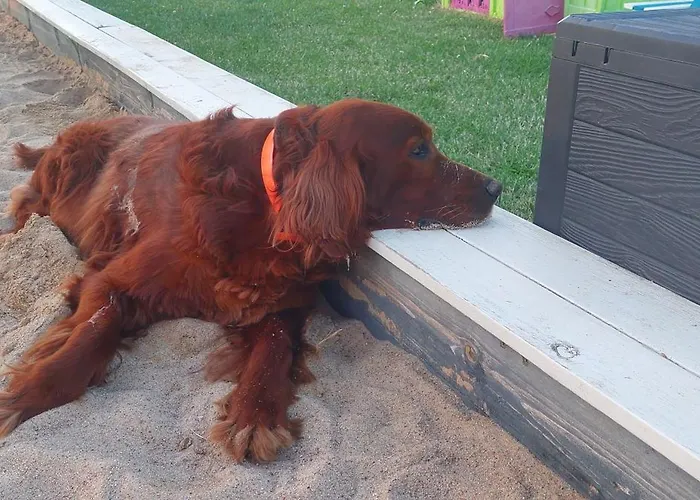 Semesterbostad Reset Letniskowe *